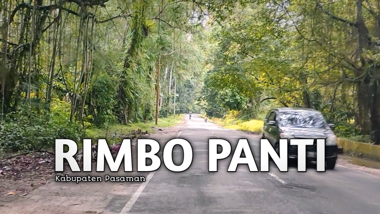 Rimbo Panti Pasaman #visitingsumbar