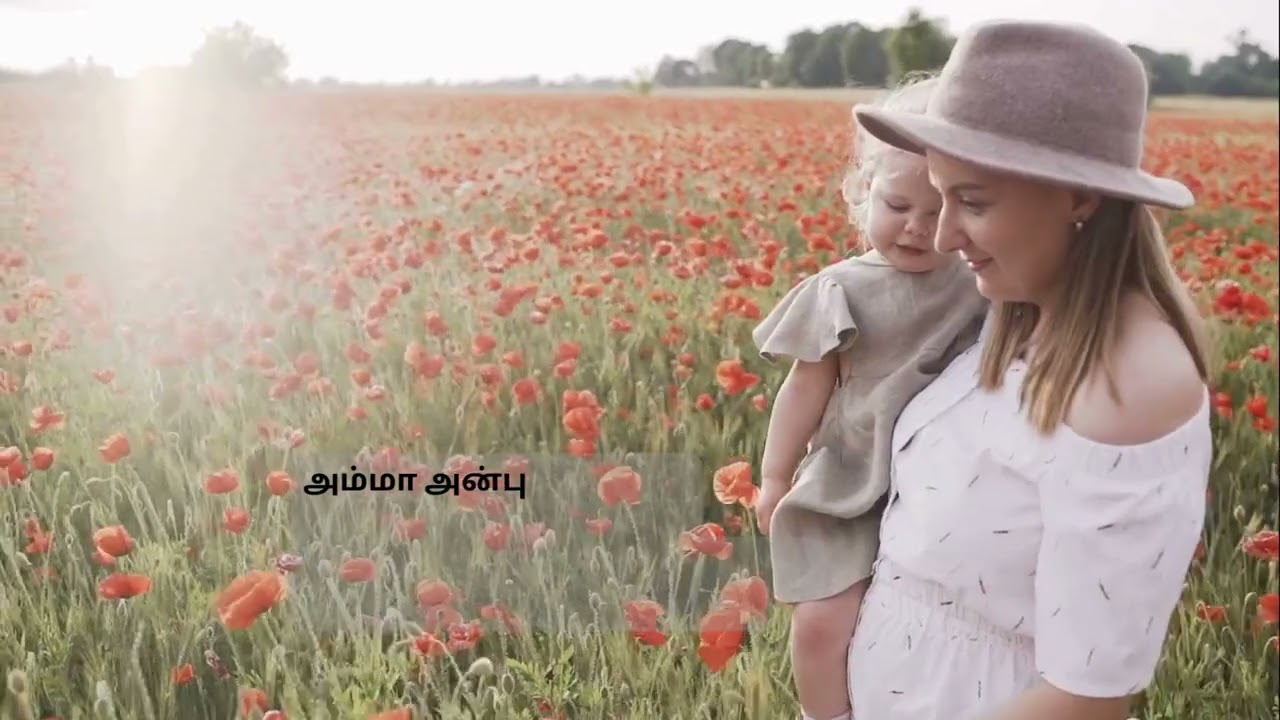 Amma anbu oru kadal - Tamil Song