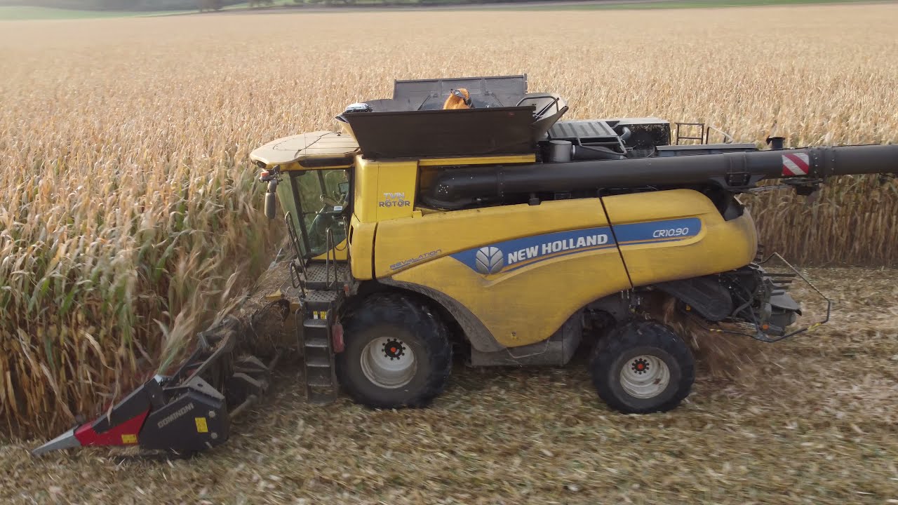 Sklizeň kukuřice na zrno | David Kynšt Služby v zemědělství | New Holland CR 9.80 & 10.90 | 2021 🌽🌽