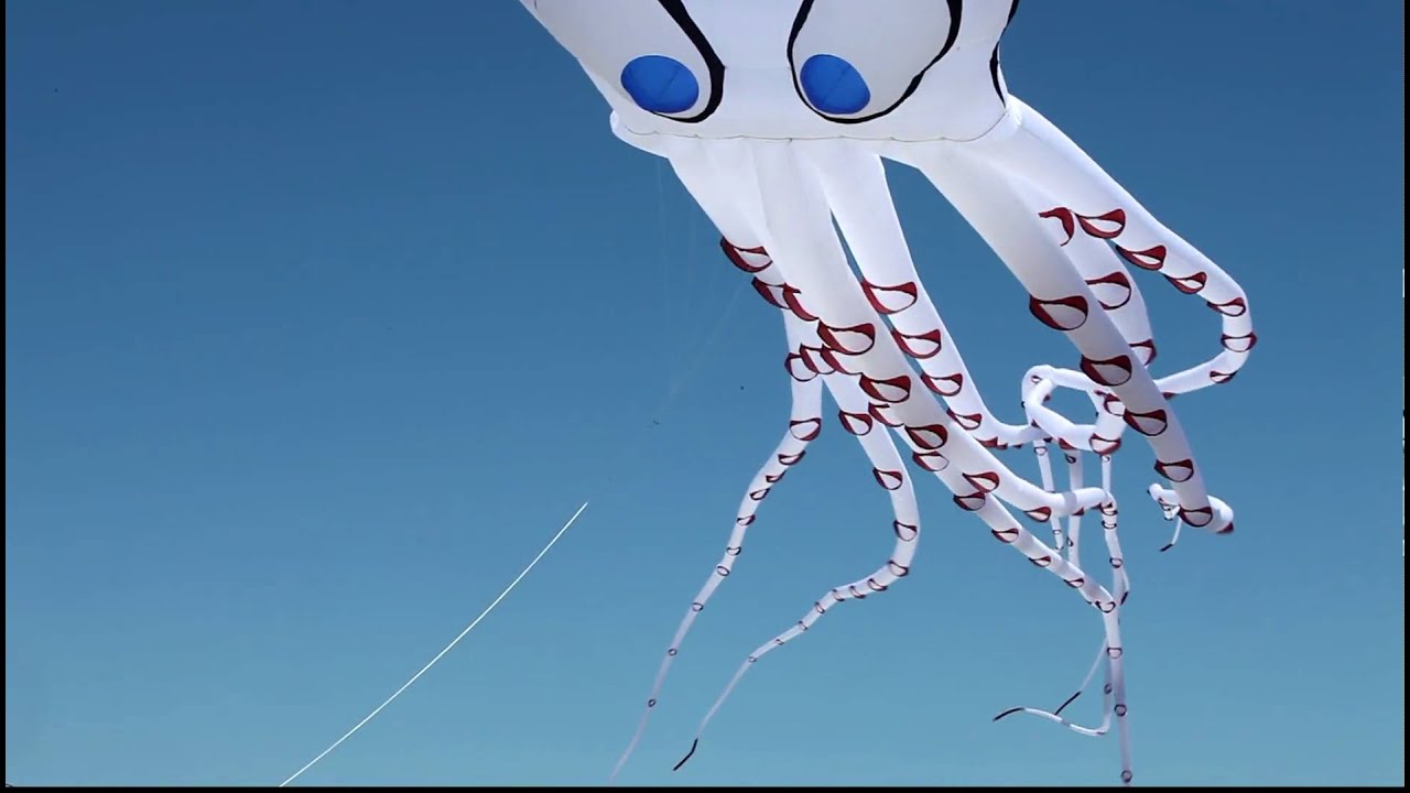 Solo (Large Octopus) Kite Descent 2009 Berkeley Kite Fest (HD)