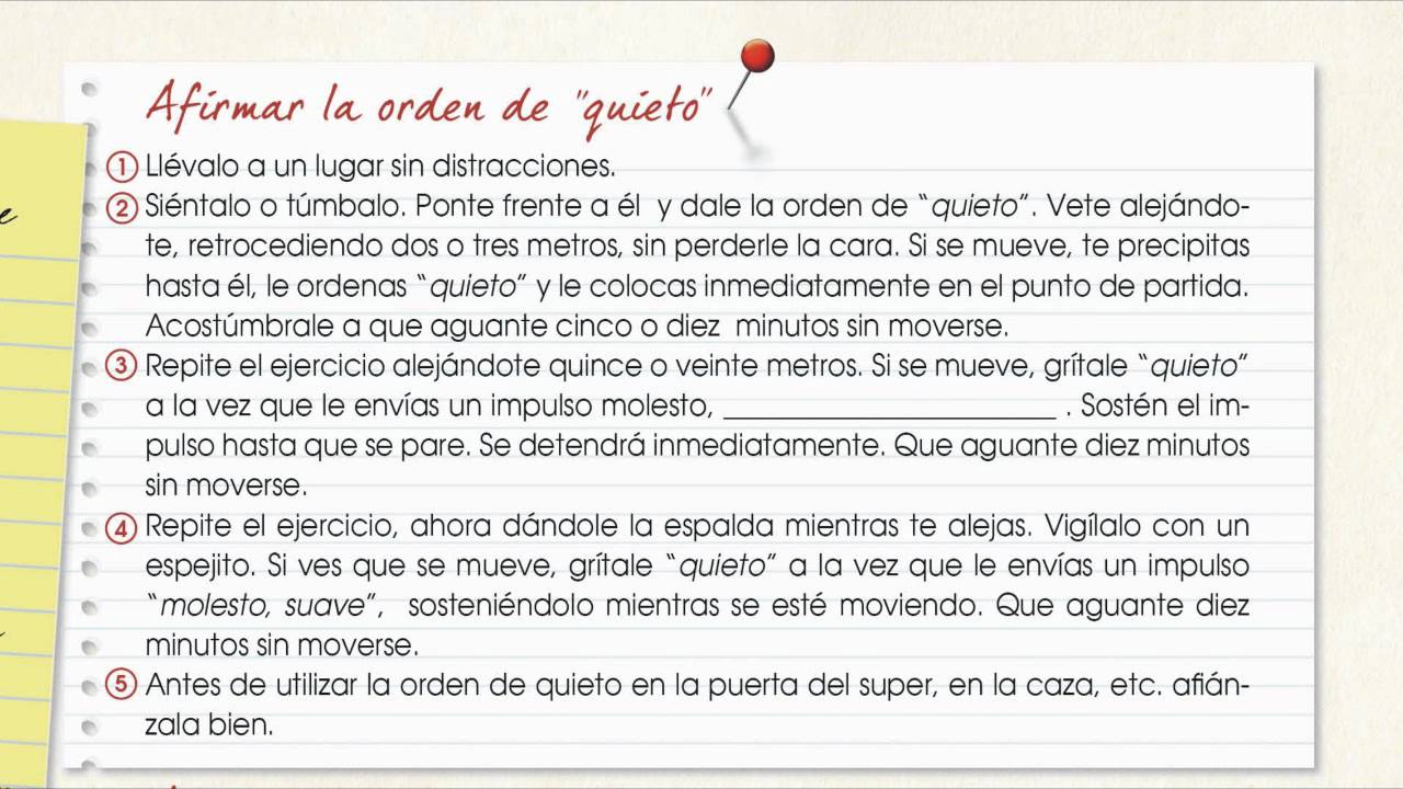 Video 05 - Orden de quieto