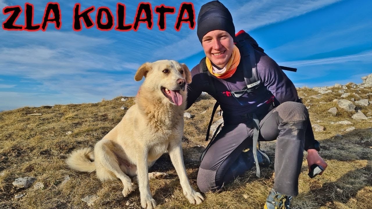 ⛰ Pies zdobył z nami szczyt🐶 | Wejście na 