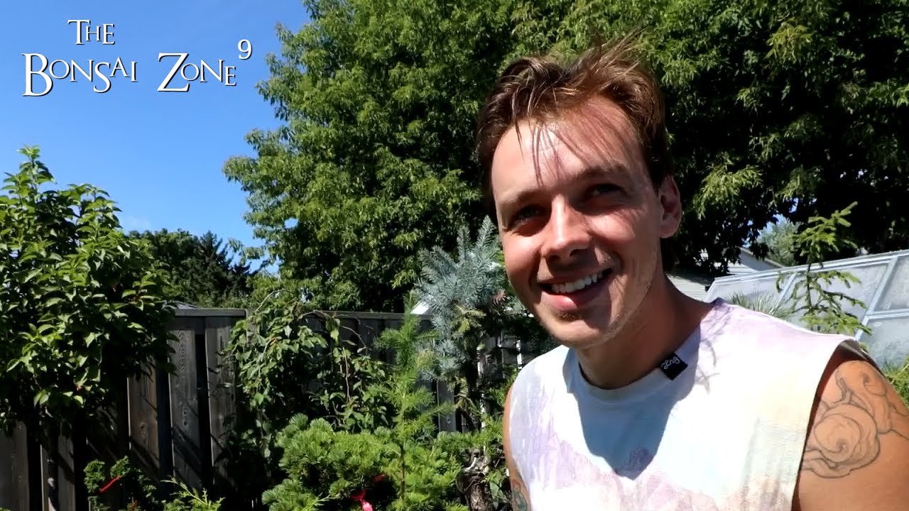 Bench Tour at Connors, Part 2, The Bonsai Zone, Aug 2022