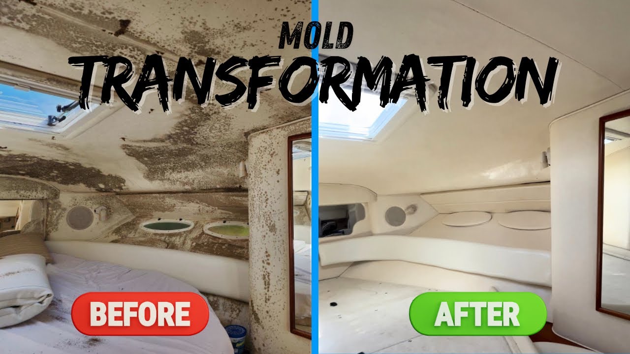 Mold Remediation on Sea Ray Sundancer | How to Remove Mold & Mildew on A Boat