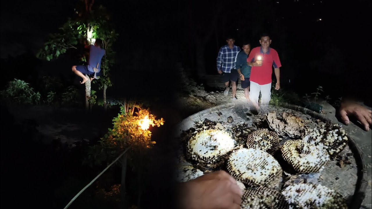 Kaalo Aringgal  🐝 ley dhannai tokenna hau 😂🤣Jungle hunting / Gaule jiban/Purbakhola-5/ Palpa