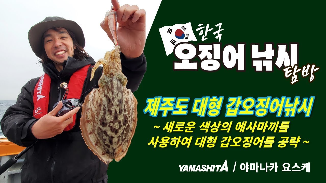 야마나카 요스케의 한국오징어낚시탐방기 ～제주도의 갑오징어～