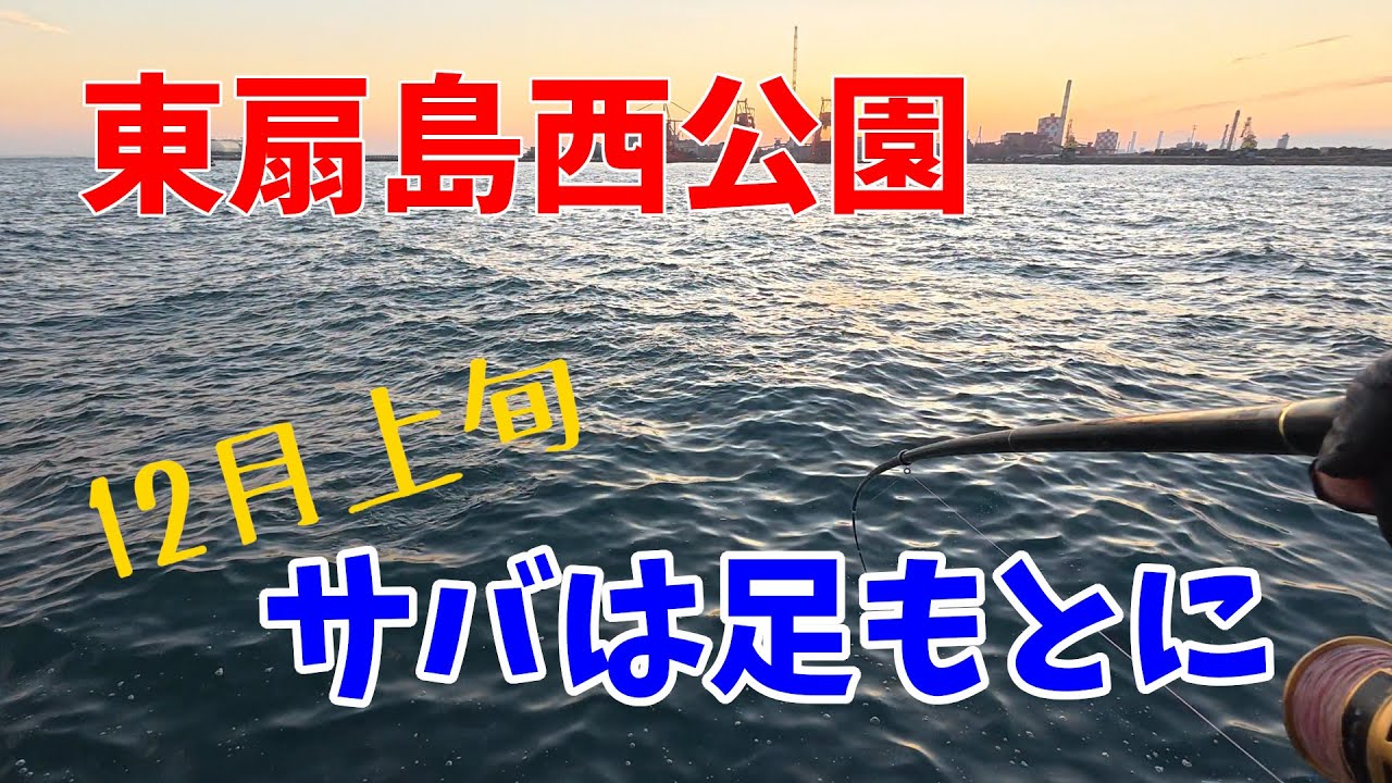 【東扇島西公園】夕まずめに駆け抜けるサバ