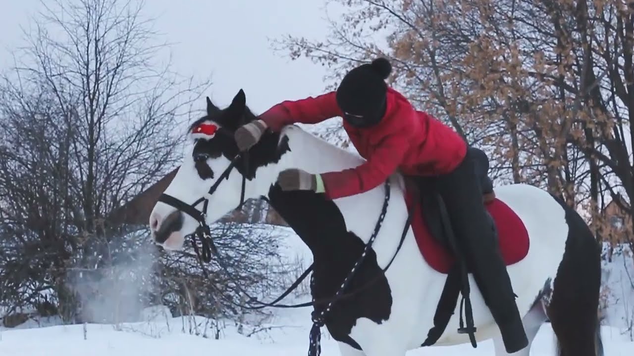 Creative video "Trust"