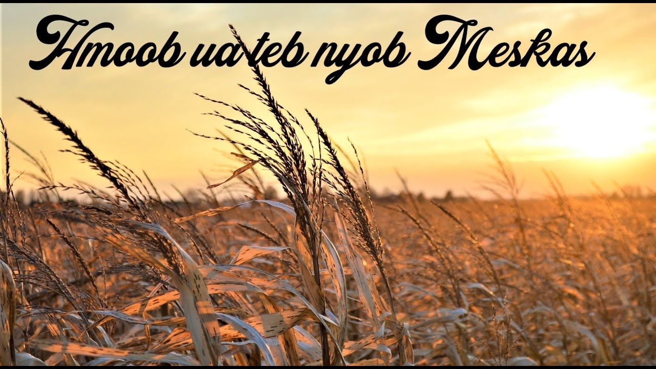 Hmoob ua liaj ua teb nyob teb chaws Meskas - Hmong farming in America