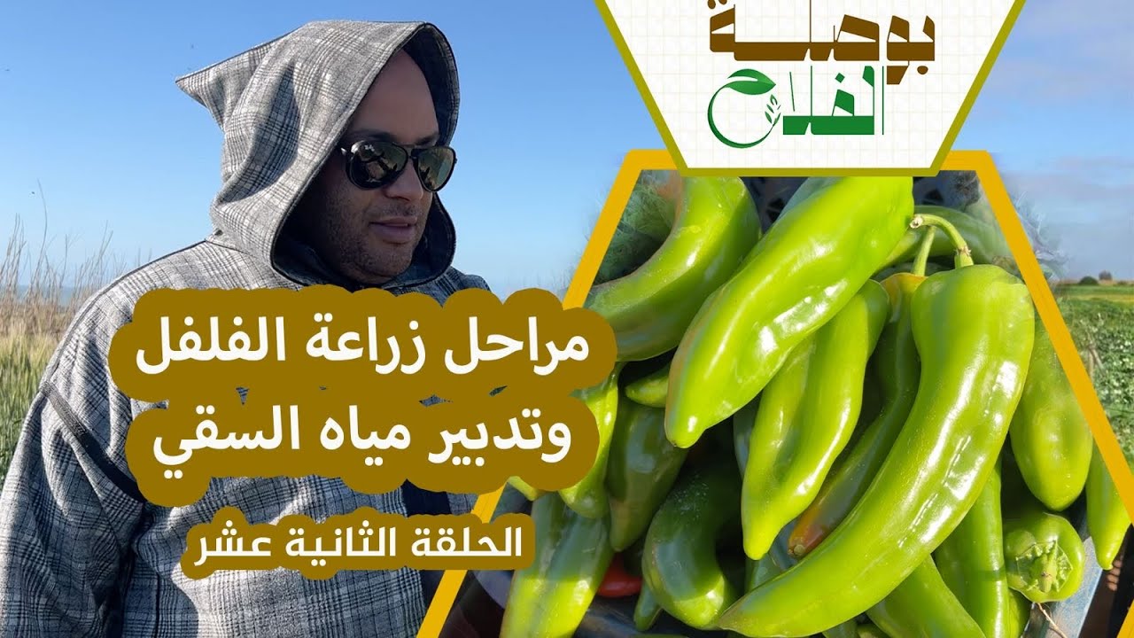 بوصلة الفلاح(ح12)..أسرار زراعة