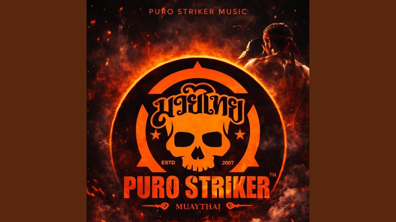 Puro Striker