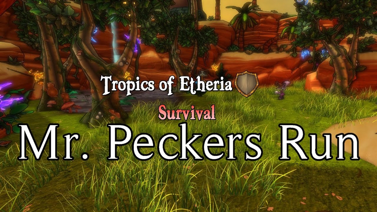 Dungeon Defenders - Mr. Peckers Run