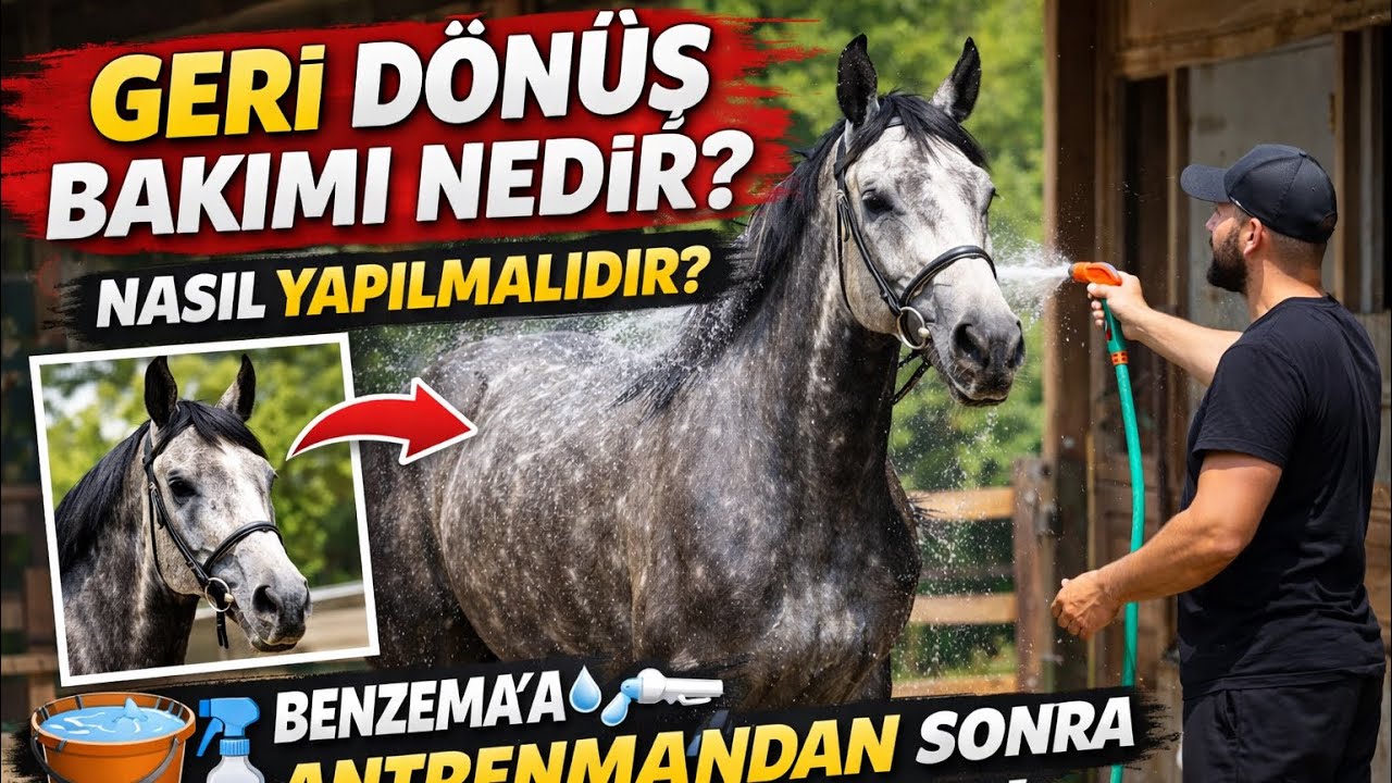 Binişten Sonra Neler Yapılmalı ? - Geri Dönüş Bakımı | BENZEMA 