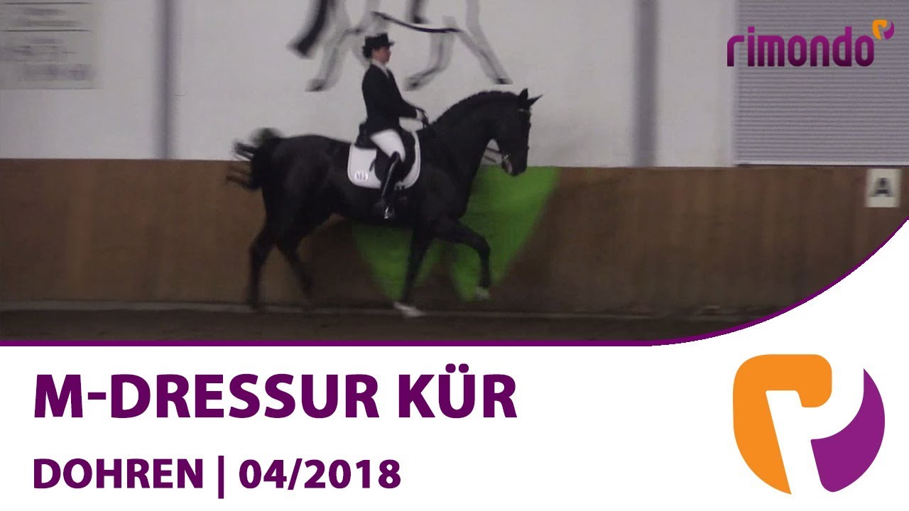 M Dressur-K&uuml;r in Dohren 2018