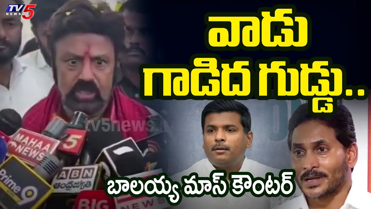 వాడికి బుర్రలేదు | Hindupur MLA Balakrishna Satirical Comments on YS Jagan | Nara Lokesh | TV5 News