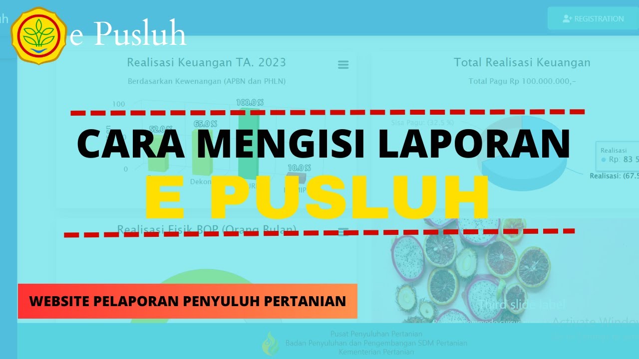 CARA MENGISI LAPORAN E PUSLUH #Epusluh #RegistrasiEPusluh #penyuluhpertanian