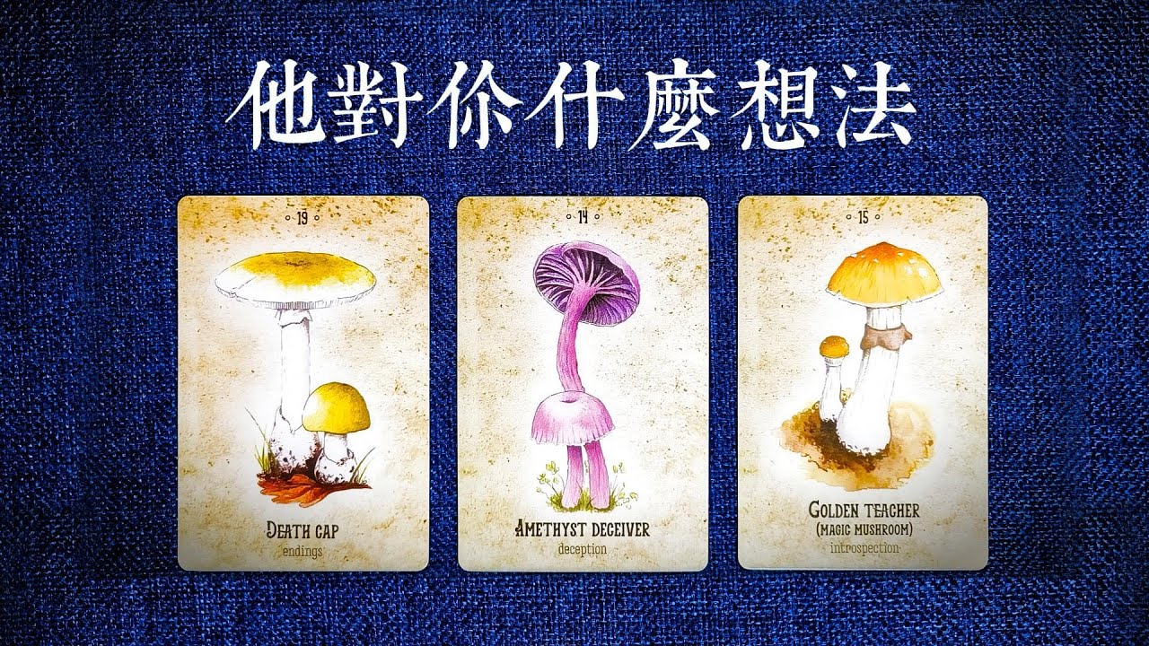 他對你什麼想法?他在幹嘛？有沒有想你？會不會主動推進關係?|斷聯|拉扯|卡頓|冷戰|塔羅占卜|