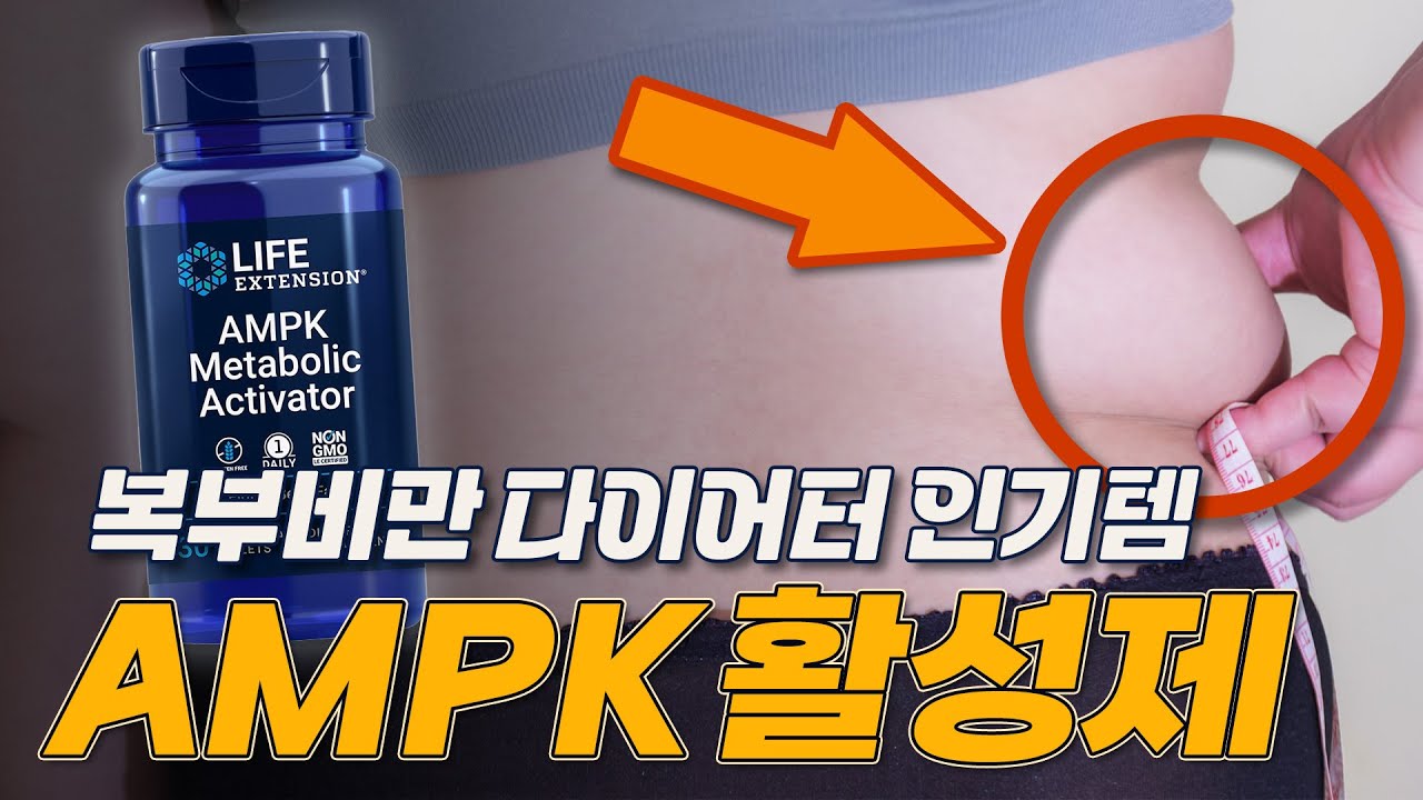 복부비만 다이어터들에게 인기! AMPK 활성제 [라이프 익스텐션 AMPK 메타볼릭 엑티베이터 리뷰 / 효능]