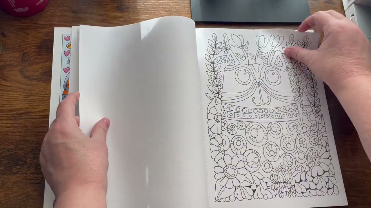 Creative Haven’s Whimsical Cats by Angela Porter coloring book flip 
