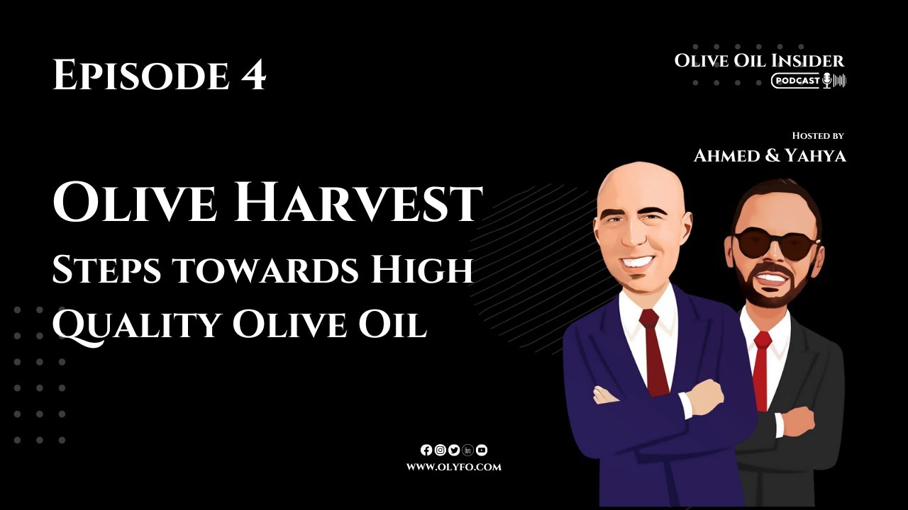 Olive Harvest: Steps Towards High Quality Olive Oil