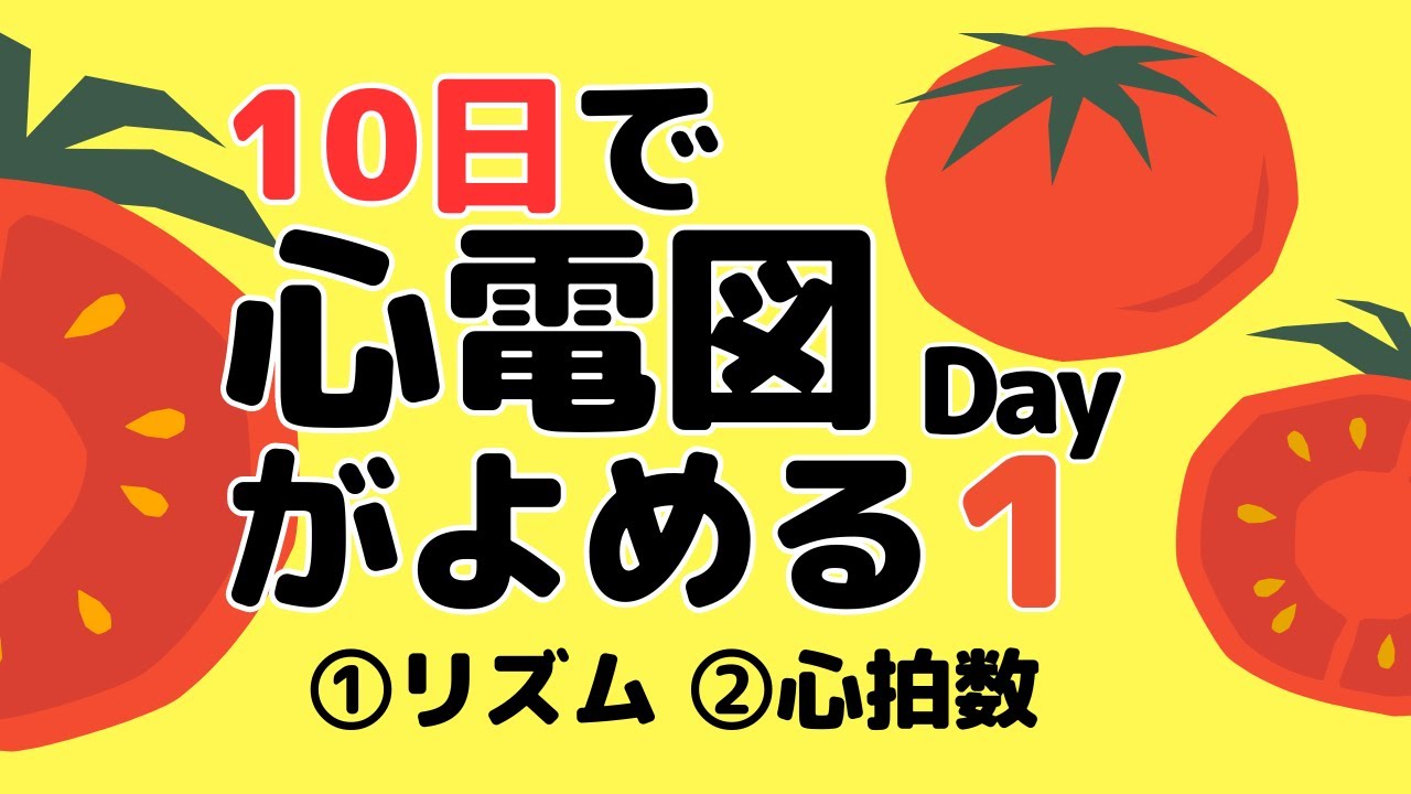 【10日で心電図がよめる】1日目 ①リズム ②心拍数