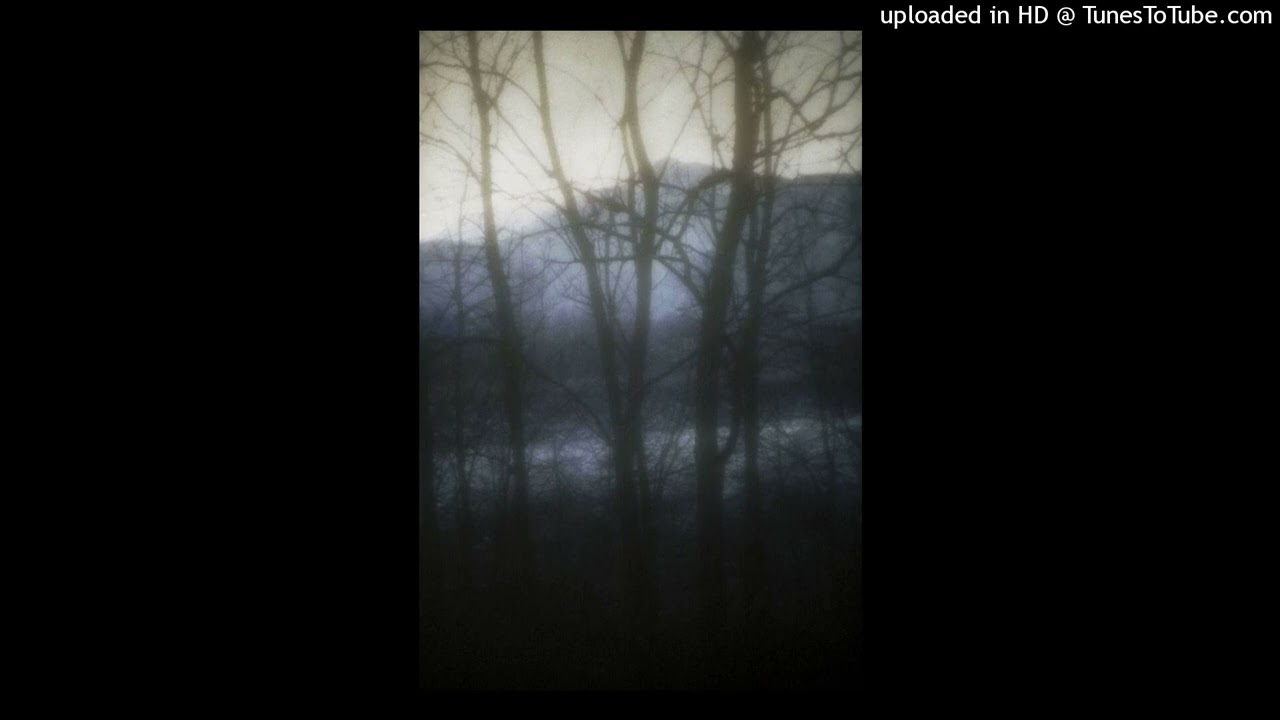(free) ginseng x misogi x prettifun x one2nine3 type beat prod kai