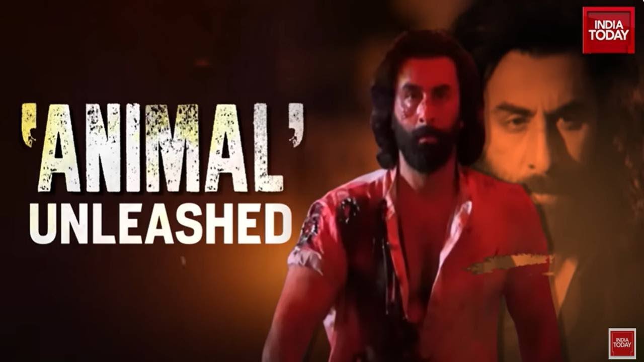 Exclusive: Animal Director Sandeep Vanga And Bhushan Kumar On Ranbir Kapoor, Box Office, Music