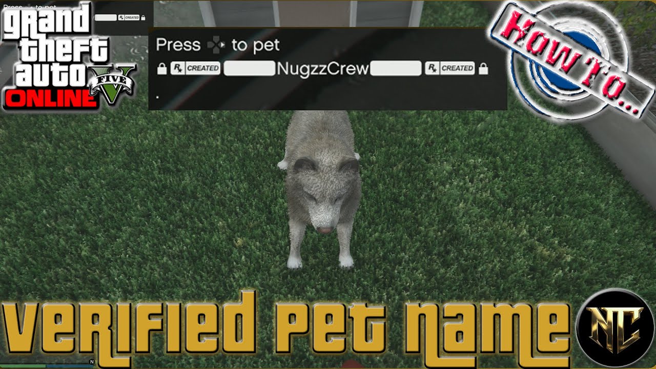 Grand Theft Auto V Online: Rockstar Verified Pet Names & MORE.