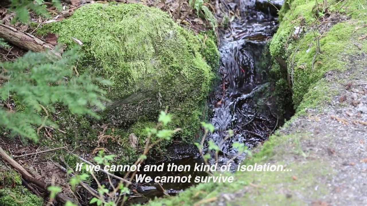 What's your connection to the environment?