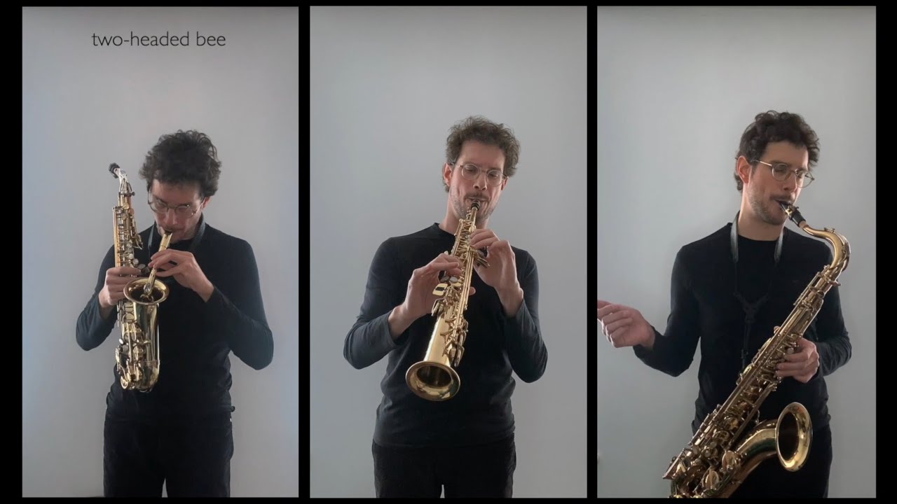Mechanical Bees Live Just A Few Minutes (improvisations for saxophone by Gerardo Gozzi, 2025)