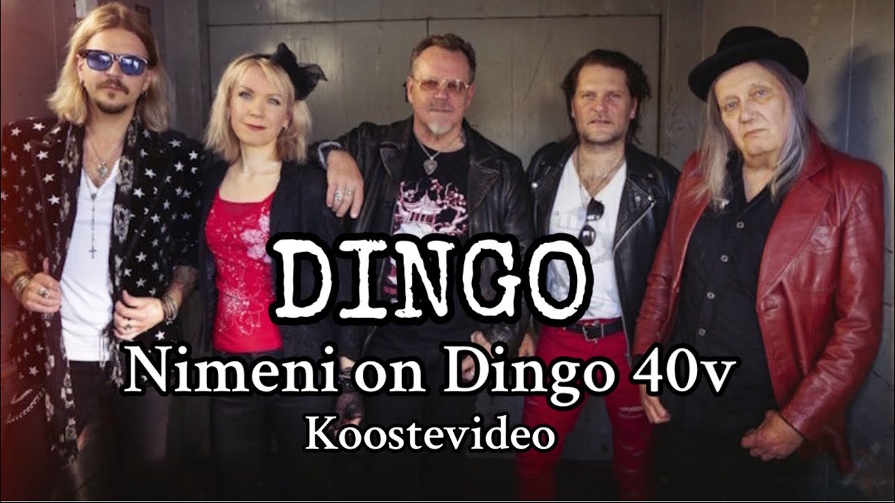 Dingo Live @ Wanaja Festival Hämeenlinna 2024. 