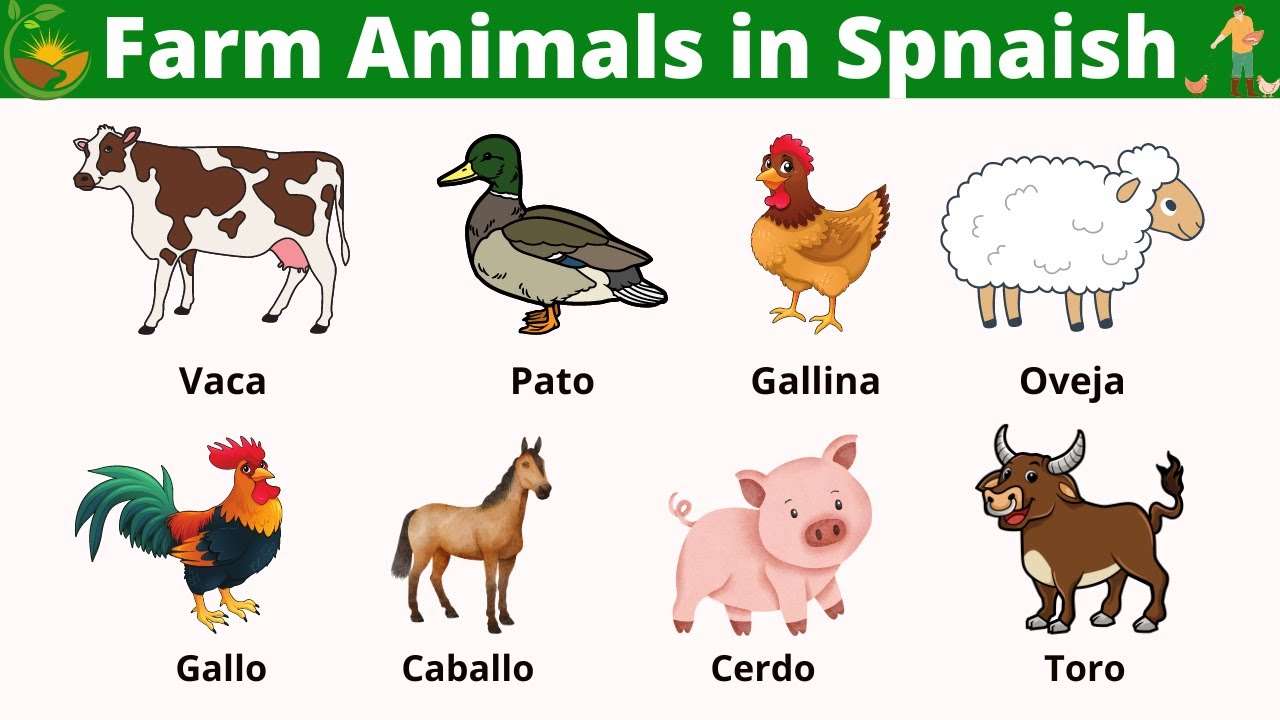 Farm Animals in Spanish | Spanish Vocabulary