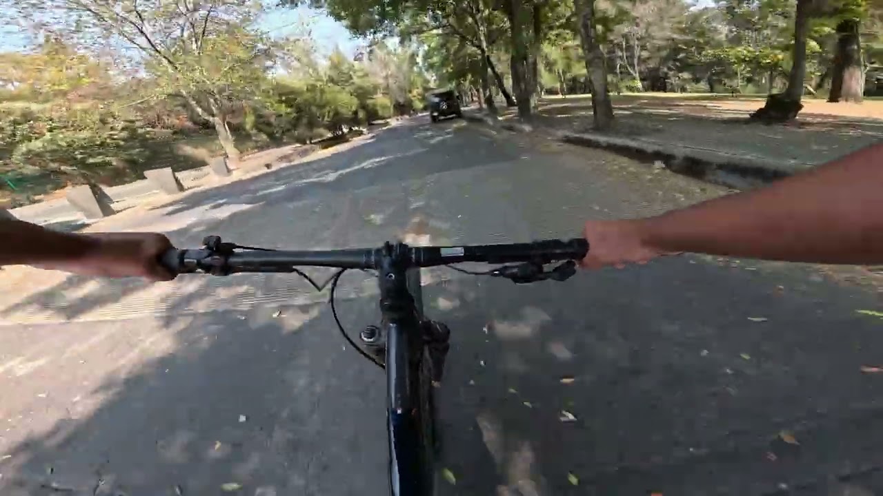 Quitándole las arañas a la Bicla