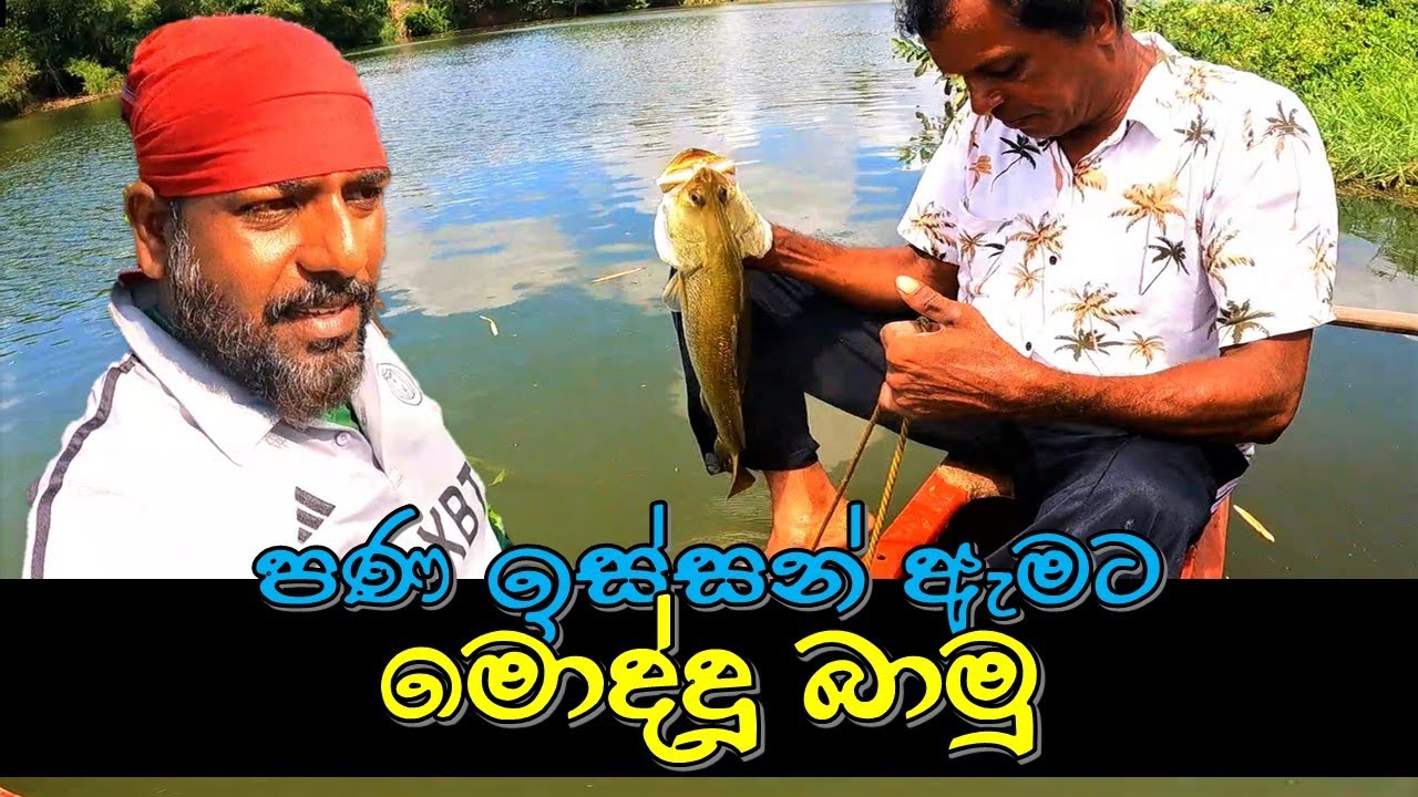 බට පිත්තෙන් මොද්දු බාමු | Barramundi fishing | @wishwatiyubaya 🎣🐋🦐