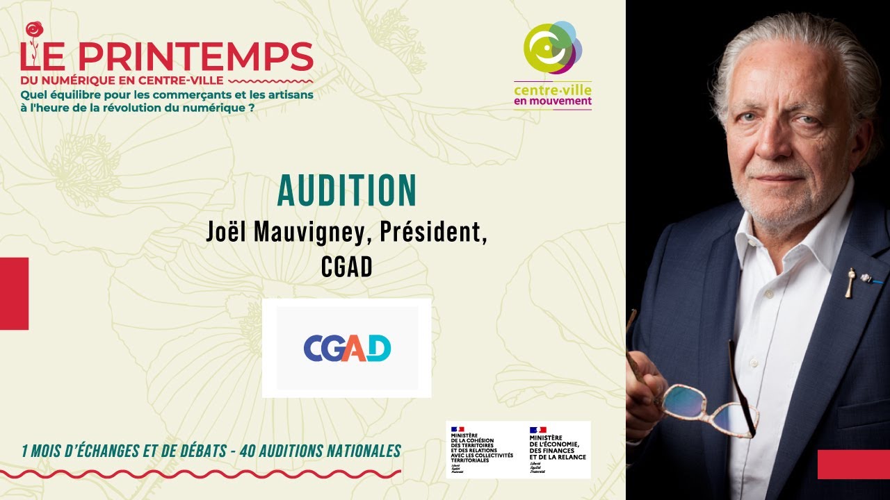 Audition de Jo&euml;l Mauvigney, Pr&eacute;sident et V&eacute;ronique Gaulon, Pr&eacute;sidente Commission Communication, CDAD