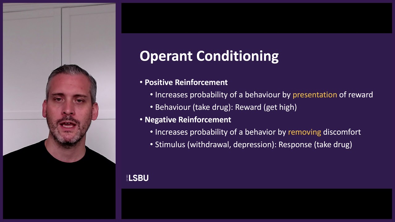 Learning Theory of Addiction