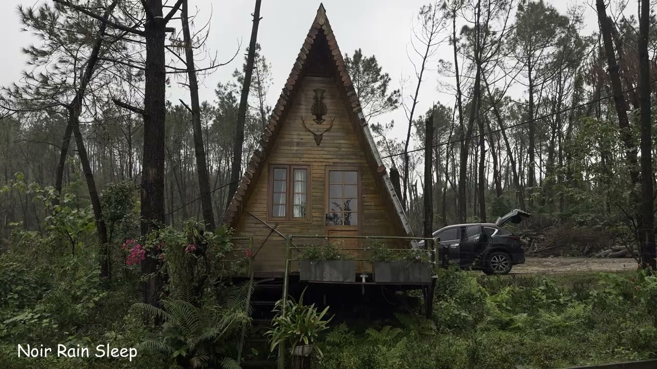 Rain on Cabin Roof for Sleeping  A-Frame Cabin Heavy Rain & Thunderstorm Sounds