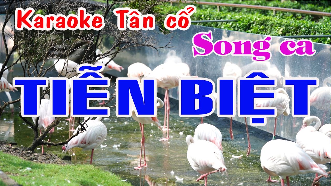 Karaoke tân cổ TIỄN BIỆT - SONG CA
