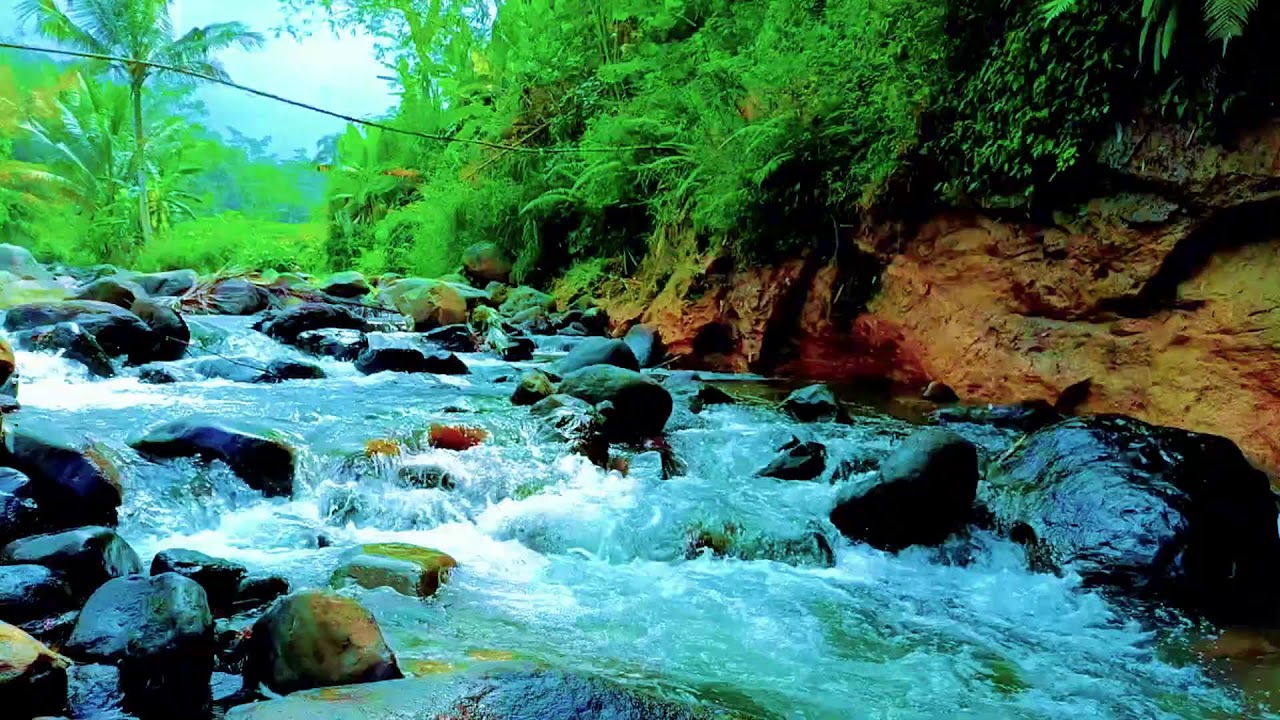 Secluded Forest Soundscape with Continuous River Flow for Deep Sleep and Peaceful Rest