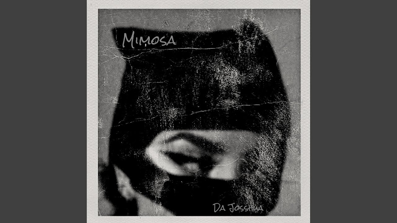 Mimosa