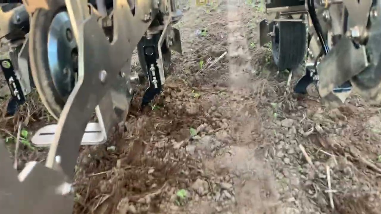 FarmDroid seeder-weeder robot 1: Testing active knives in cabbage