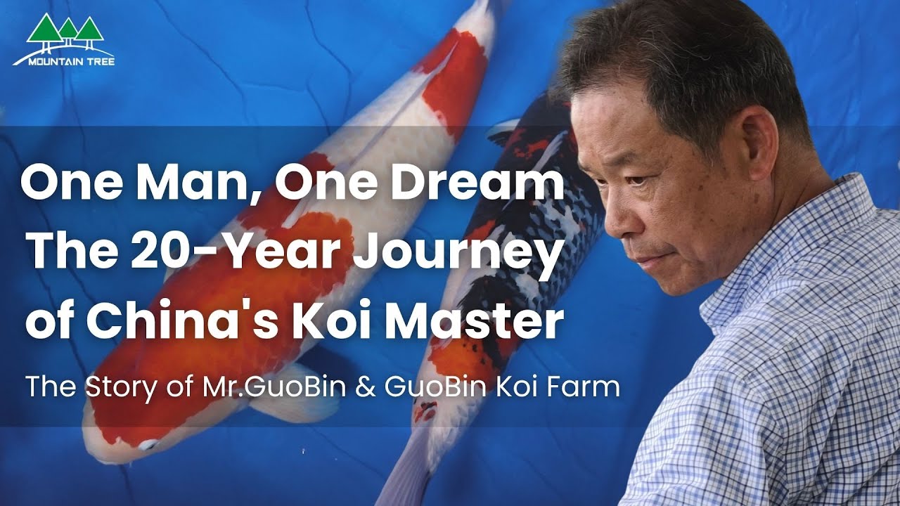 One Man, One Dream: The 20-Year Journey of China's Koi Master, Guo Bin