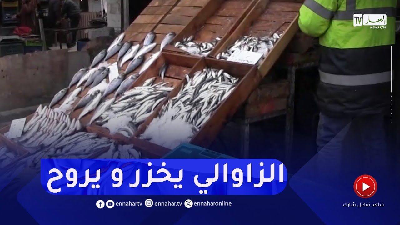 تبسة : قبيل شهر رمضان..ارتفاع ملحوظ في أسعار السمك