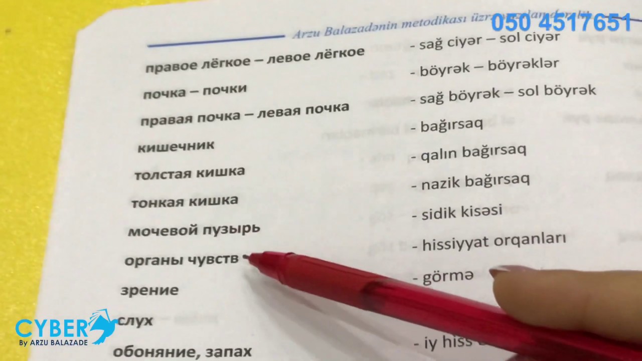 Rus dili. Orta seviyye. Insan bedeni. 1 ders