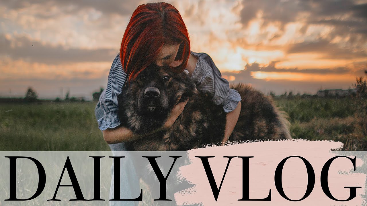 Daily vlog | Scotocim cu succes in SH, facem inghetata fara zahar si mergem (in sfarsit!) la Buzau