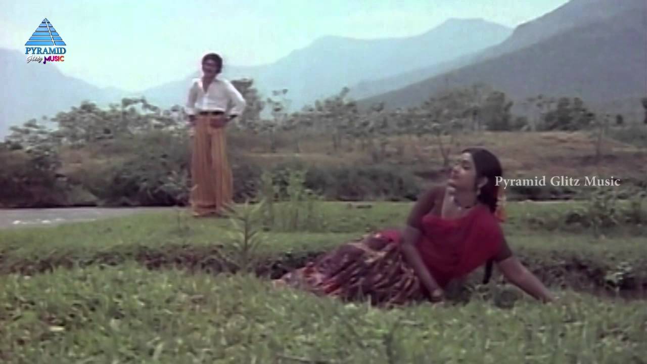 Chinna Chinna Veedu Katti Tamil Movie | Naakkile Mukile Song | Sudhakar | Jayam | Shankar Ganesh