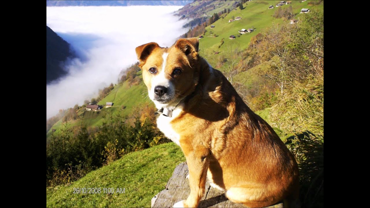 Herbst und Winter im Schächental