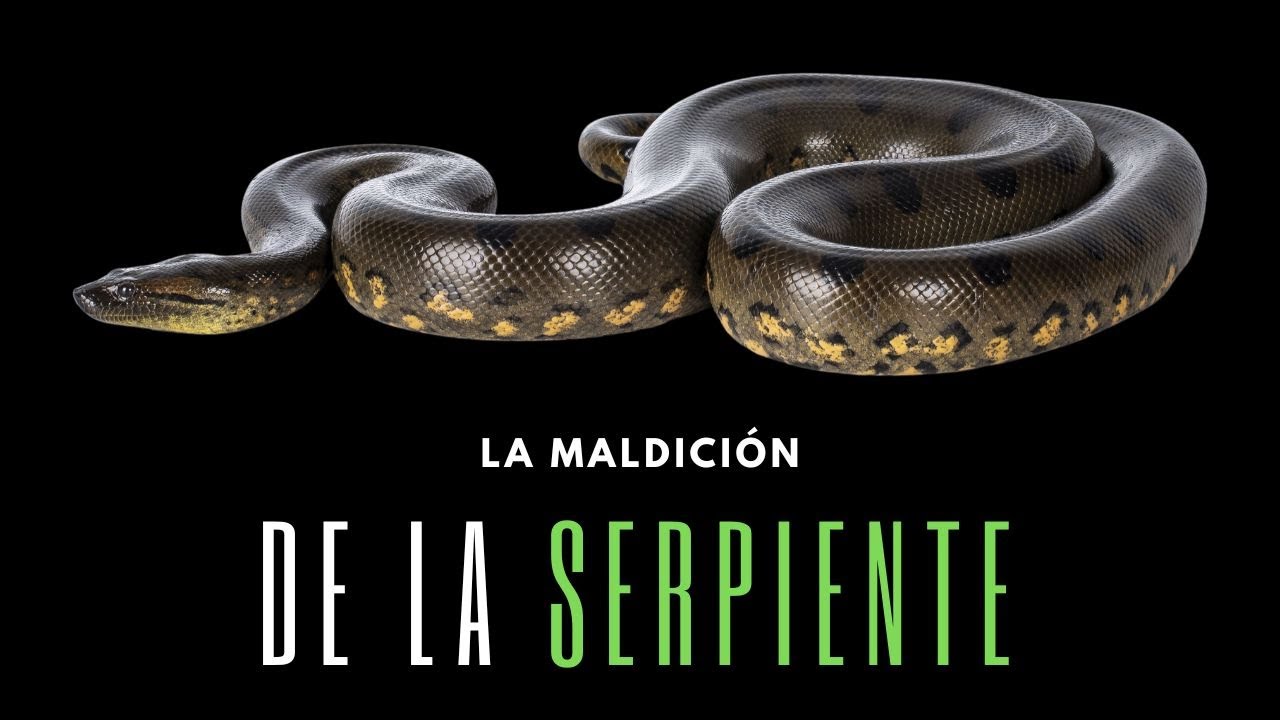La Maldición de la Serpiente - Juan Manuel Vaz