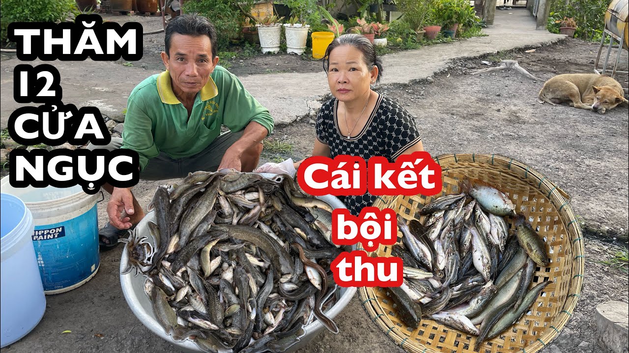 Thăm Lú (12 Cửa Ngục) Trúng Đậm 1 Thau Cá Đồng Ai Nhìn Thấy Cũng Sẽ Mê | Bông Lúa Đồng Tháp