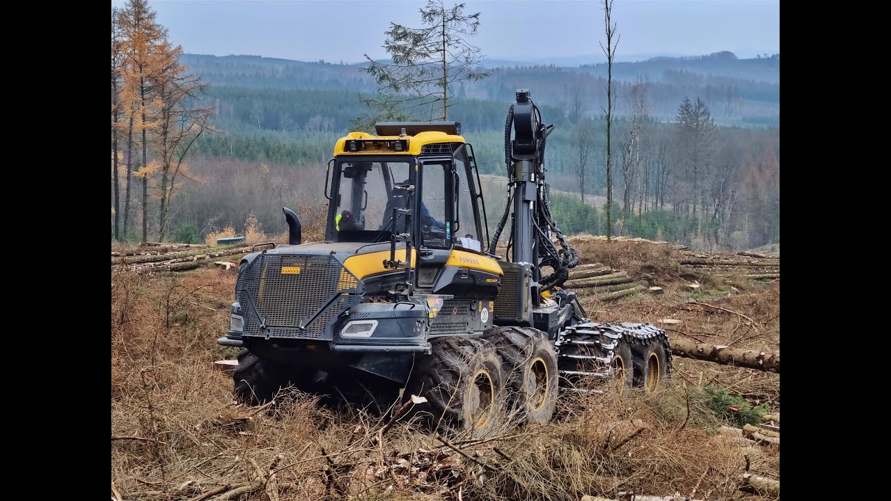 🌲Ponsse Bear / H8 • Ponsse Logging • fast working • Harvester Action • Bear Power • Logging Video 🌲